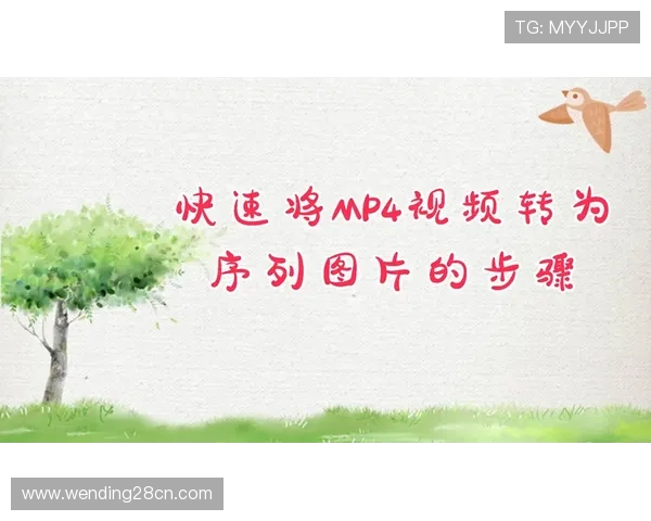 问鼎注册登录入口常用技巧分享，让新用户快速掌握登录注册的高效操作步骤