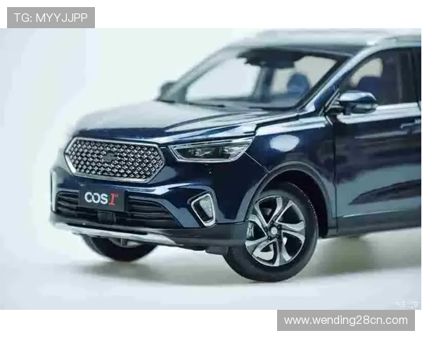 问鼎官网注册过程中遇到验证码问题的解决方案详解