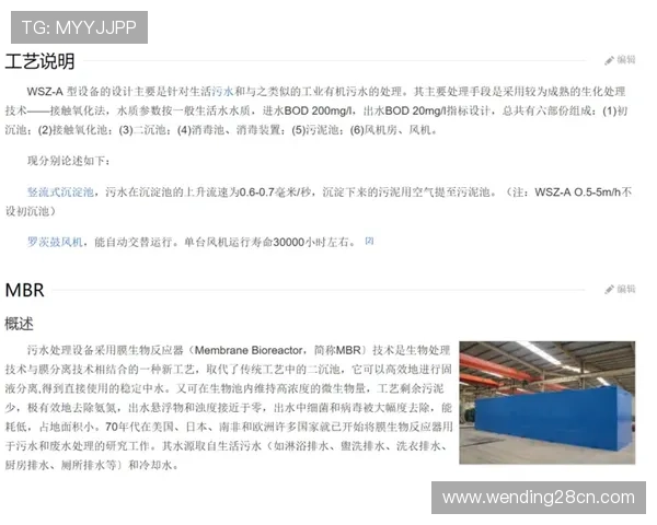 问鼎网页版官方入口常见问题解析，解决玩家在登录过程中的各种疑问